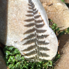 Adaptační kurz 6.A, 6.C