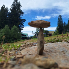 Adaptační kurz 6.A, 6.C