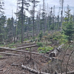 Adaptační kurz 6.A, 6.C