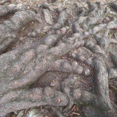 Adaptační kurz 6.A, 6.C