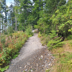 Adaptační kurz 6.A, 6.C