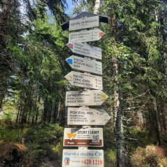 Adaptační kurz 6.B, 6.D