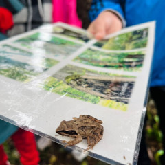 5.A - výukový pobyt Terčino údolí