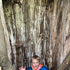 5.A - výukový pobyt Terčino údolí