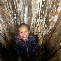 5.A - výukový pobyt Terčino údolí