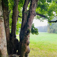 5.A - výukový pobyt Terčino údolí