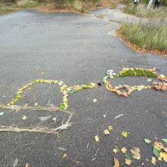 Podzimní tvoření 6.D