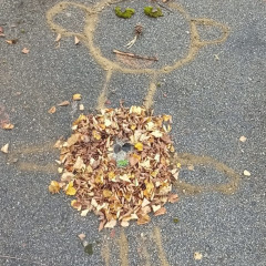 Podzimní tvoření 6.D