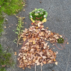 Podzimní tvoření 6.D