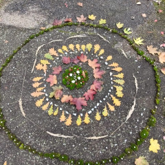 Podzimní tvoření 6.D