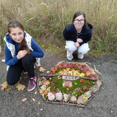 Podzimní tvoření 6.D