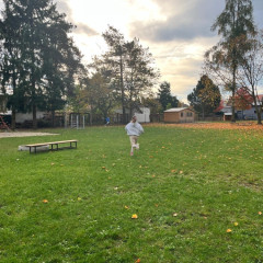 Závod v orientačním běhu