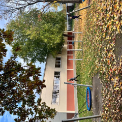 Závod v orientačním běhu