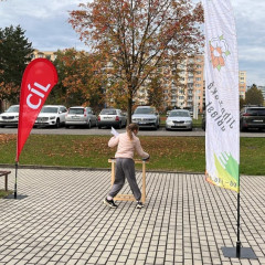 Závod v orientačním běhu