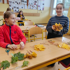 Javorové růže od 6.B a 7.D