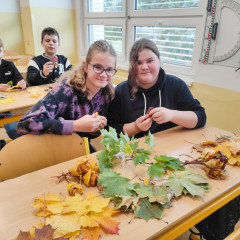 Javorové růže od 6.B a 7.D