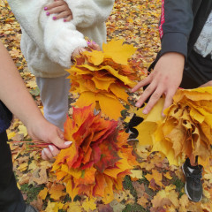 Javorové růže od 6.B a 7.D