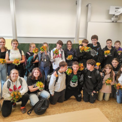 Javorové růže od 6.B a 7.D