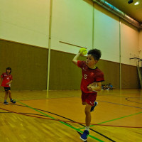 Turnaj v miniházené