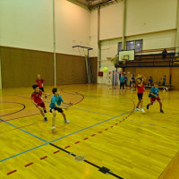 Turnaj v miniházené