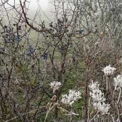 Škola v přírodě Čestice 2B a 2.C