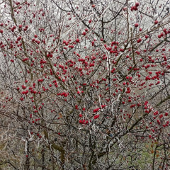 Škola v přírodě Čestice 2B a 2.C