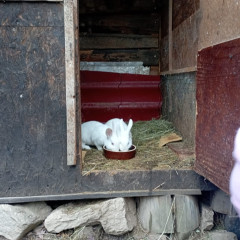 Škola v přírodě Čestice 2B a 2.C
