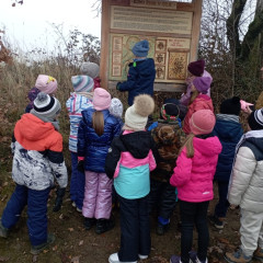 Škola v přírodě Čestice 2B a 2.C