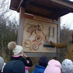 Škola v přírodě Čestice 2B a 2.C