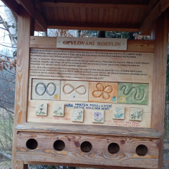 Škola v přírodě Čestice 2B a 2.C