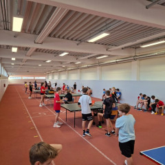 Stolní tenis - školní kolo 6. a 7. ročník