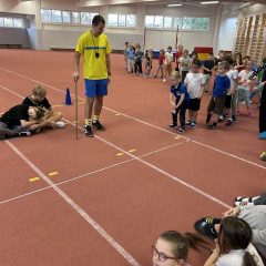 Vánoční sprinty 1.A,C,D