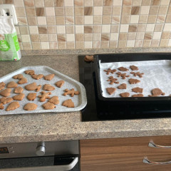 1.,2. oddělení ADVENT