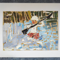 Alšova země AJG 2026