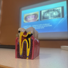 Dentální hygiena