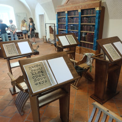 6.D - výlet Český Krumlov