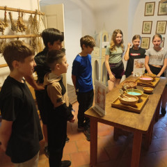 6.D - výlet Český Krumlov