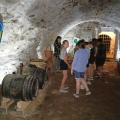 6.D - výlet Český Krumlov