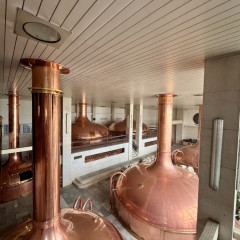 9.B,C,D Exkurze Budweiser Budvar